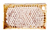 Мёд в сотах (минирамки 11*8 см) 1 кг.